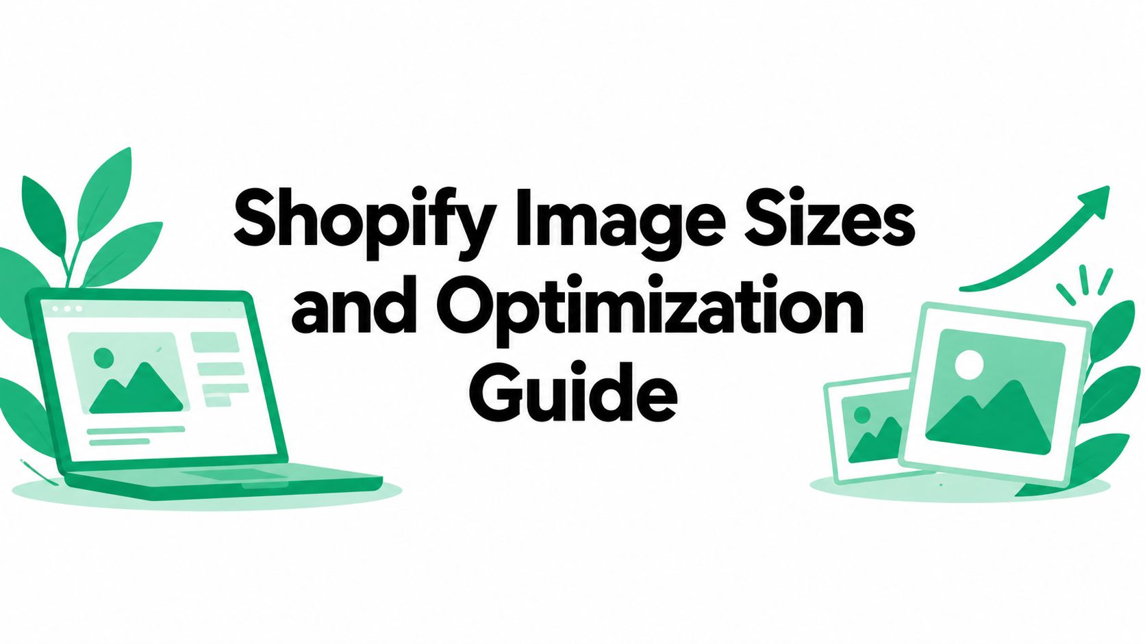 Shopify Image Sizes and Optimization Guide