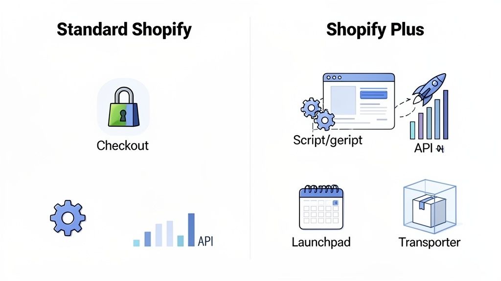 A comparison of Standard Shopify features like Checkout and API with Shopify Plus advanced tools.