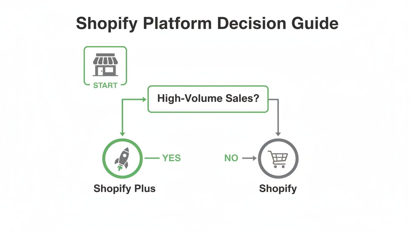 A Shopify platform decision guide flowchart, choosing between Shopify Plus for high-volume sales and Shopify.