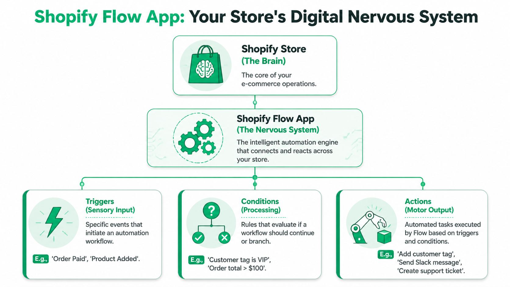 A diagram explaining how the Shopify Flow app functions as a nervous system for e-commerce stores.